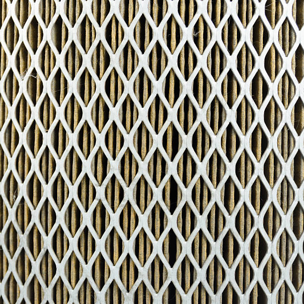 Filter support mesh& Metal filter screen